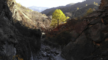 Similar image 22504007