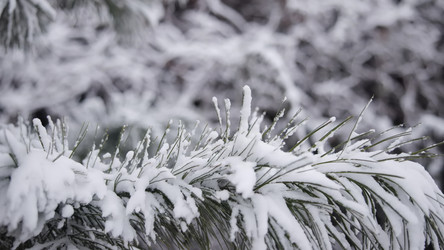 Similar image 22504187