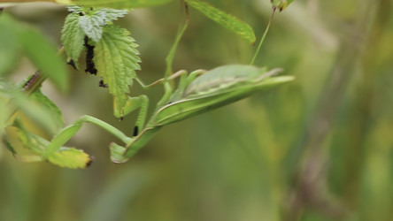 Similar image 22504309