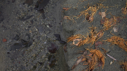 Similar image 22504413