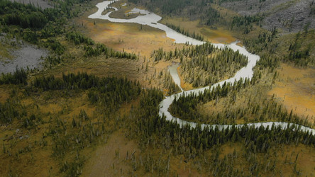 Similar image 22504581