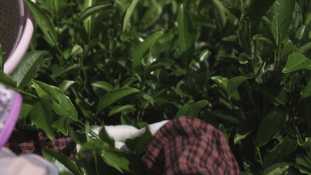 Similar image 22504599