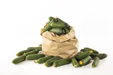 Similar image 22501984