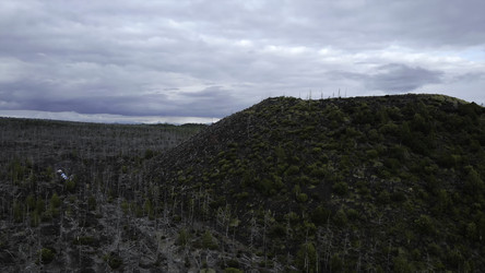 Similar image 22531472