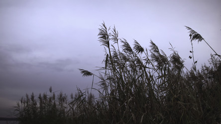 Similar image 22531562