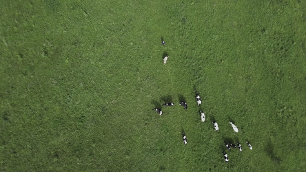 Similar image 22502098