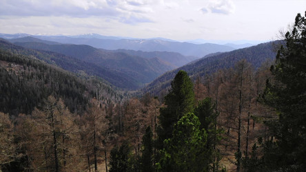 Similar image 22502443