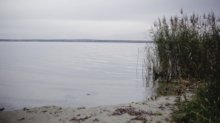 Similar image 22502651