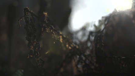 Similar image 22502668