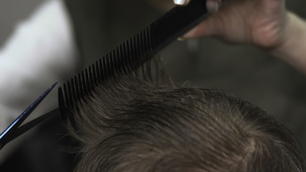 Similar image 22502741