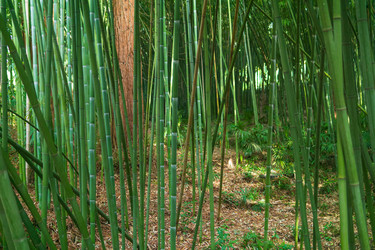 Similar image 22497698