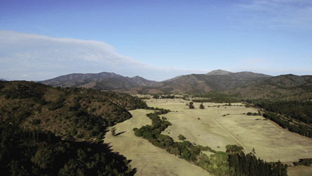 Similar image 22503010