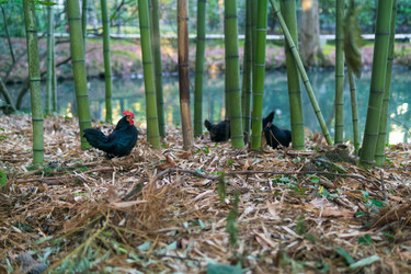 Similar image 22497699