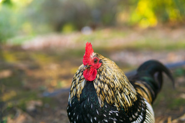 Similar image 22497700