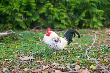 Similar image 22497702