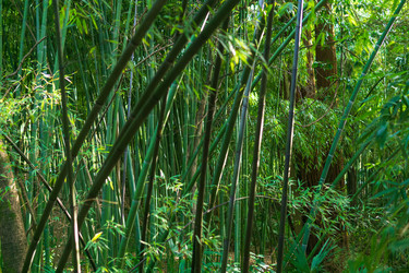 Similar image 22497704