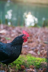 Similar image 22497705