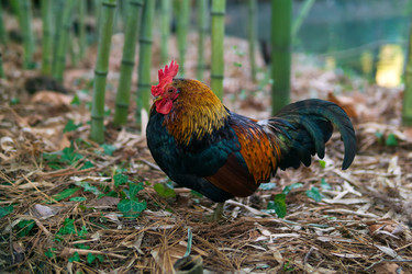 Similar image 22497716