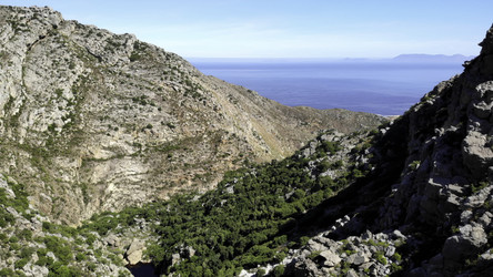 Similar image 22504145