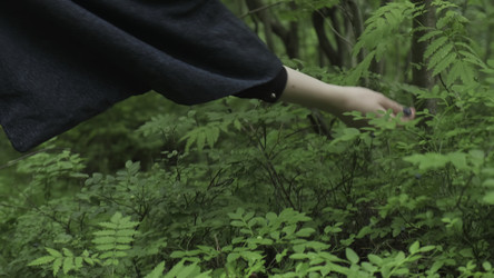 Similar image 22504293