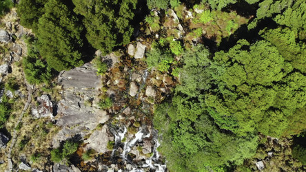 Similar image 22504385