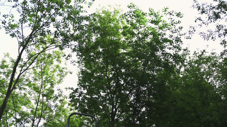 Similar image 22504416