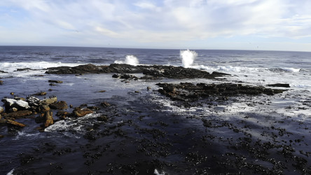 Similar image 22504446