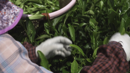 Similar image 22504493