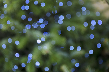 Similar image 22501956