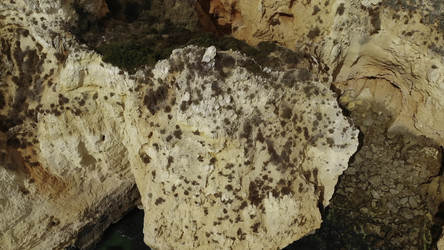 Similar image 22504582