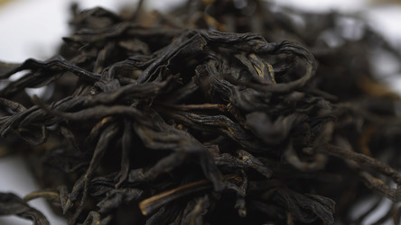 Similar image 22504601