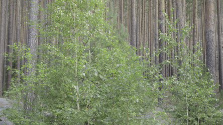 Similar image 22531222