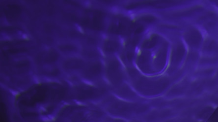 Similar image 22531276