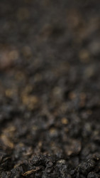 Similar image 22531330