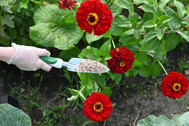 Similar image 22494404