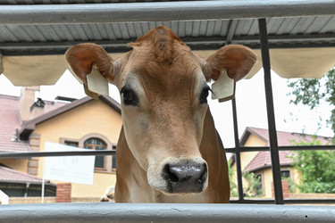 Similar image 22494405