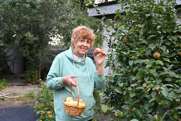 Similar image 22494406