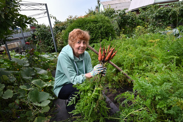 Similar image 22494419