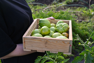 Similar image 22494420