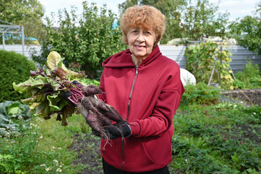 Similar image 22494421