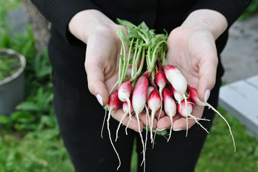 Similar image 22494427