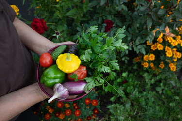 Similar image 22494428