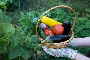 Similar image 22494388