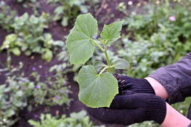 Similar image 22494393