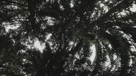 Similar image 22502220