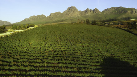 Similar image 22502473