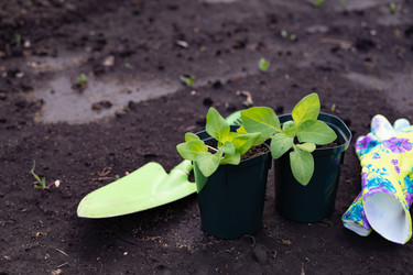 Similar image 22494397