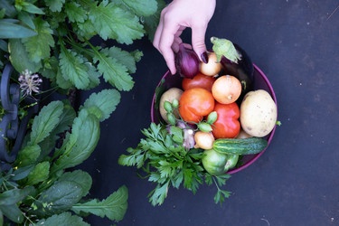 Similar image 22494398