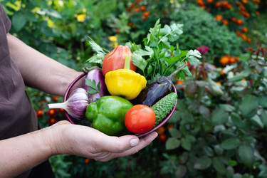 Similar image 22494407