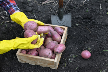 Similar image 22494408